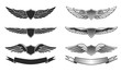 Winged insignias and ribbons