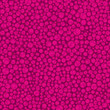 Seamless pattern with pink circles