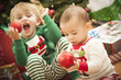 Mixed Race Baby and Young Boy Enjoying Christmas Morning Near Th