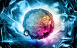 polio virus