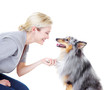 Photo: Paw...good boy! Paw...good boy!