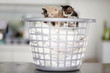 Loving the smell of fresh laundry!