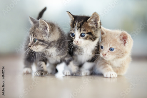 Photo: Filled with curiosity about the world Filled with curiosity about the world