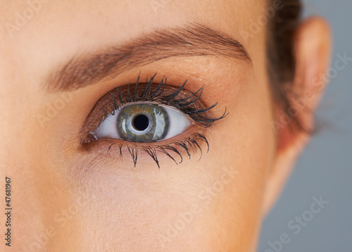 Photo: Piercing gaze Piercing gaze