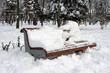 Wooden bench with snow