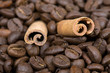 Coffee beans and cinnamon sticks