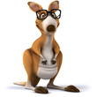 Fun kangaroo