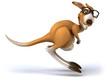 Fun kangaroo