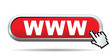 WWW ICON
