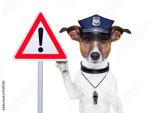 Photo: police dog police dog