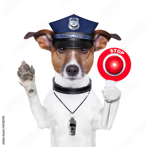 Photo: police dog police dog