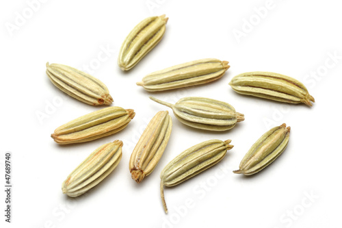 Photo: fennel seeds fennel seeds