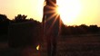 girl in sunset,girl is walking in the sunset