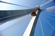 Bridge in Busan