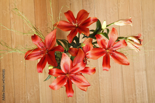 Photo: Lilium Lilium