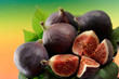 Several fresh figs with leaves, whole and cut