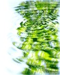 Reflection of forest and sun in water.