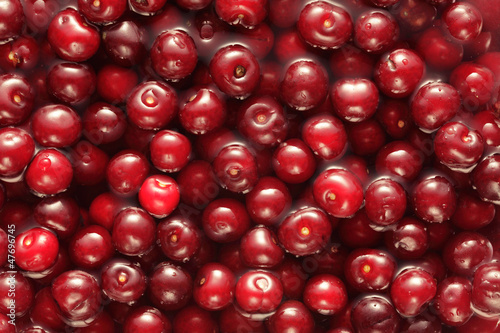 Photo: Cherries as the background, full frame Cherries as the background, full frame