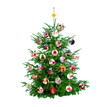 besonderer baum