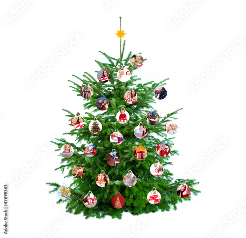 Photo: besonderer baum besonderer baum