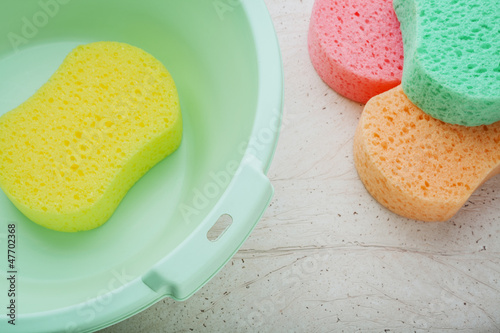 Photo: sponge and bucket to wash sponge and bucket to wash