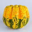 Photo: Close-up of a colorful organic squash Close-up of a colorful organic squash