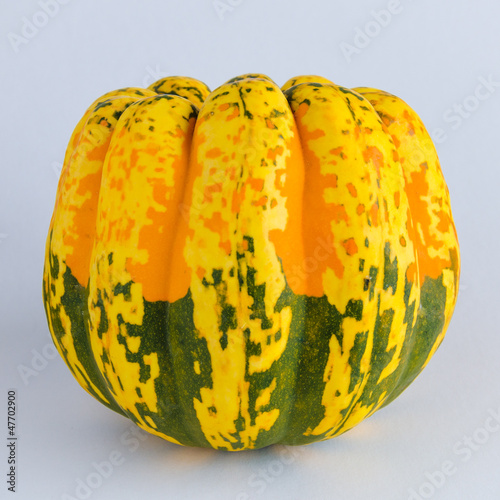Photo: Close-up of a colorful organic squash Close-up of a colorful organic squash