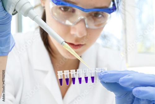 Photo: Scientist at work Scientist at work