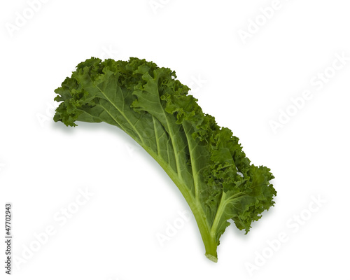 Photo: Single Kale leaf isolated on white Single Kale leaf isolated on white