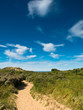 Summer landscape at the coast