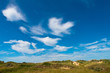 Summer landscape at the coast