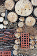 Insect homes 