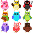 Set of Colorful Owls with different characters