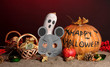 Trick or treat halloween masks and  buckets filled with cookies