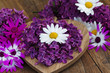 Blumenherz