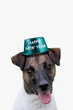 Dog with Happy New Year Hat