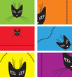 Card with a black cat