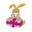 rabbit