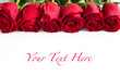 Red roses