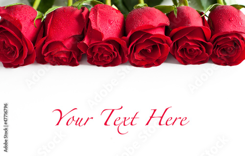 Photo: Red roses Red roses