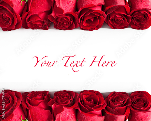 Photo: Red roses Red roses