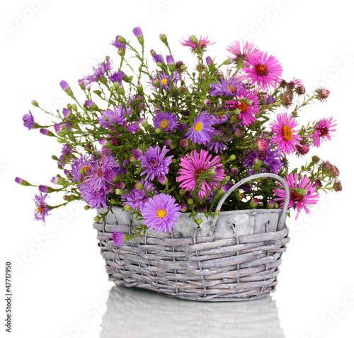 Photo: beautiful bouquet of purple flowers in basket isolated on white beautiful bouquet of purple flowers in basket isolated on white