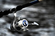Fishing Reels