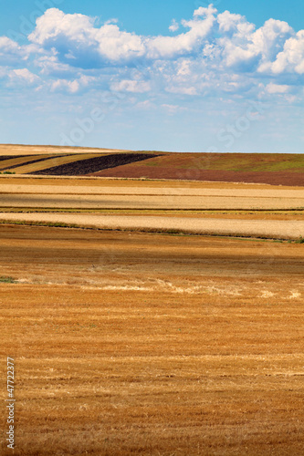Photo: Field of harvested wheat Field of harvested wheat