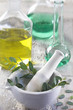 Eucalyptus - Huile essentielle