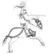 Medieval Knight Jousting