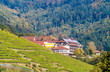 Houses in The Black Forest mountains, near a vineyard. Germany -