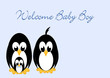 Welcome Baby