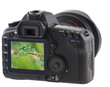 Foto: caméléon sur écran appareil photo caméléon sur écran appareil photo