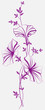 Flowers decorative